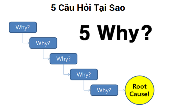 5whys